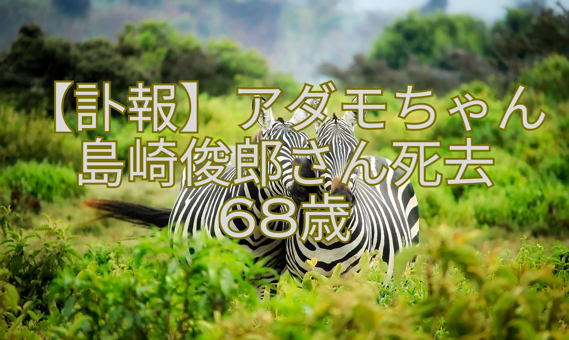 【訃報】アダモちゃん島崎俊郎さん死去-68歳