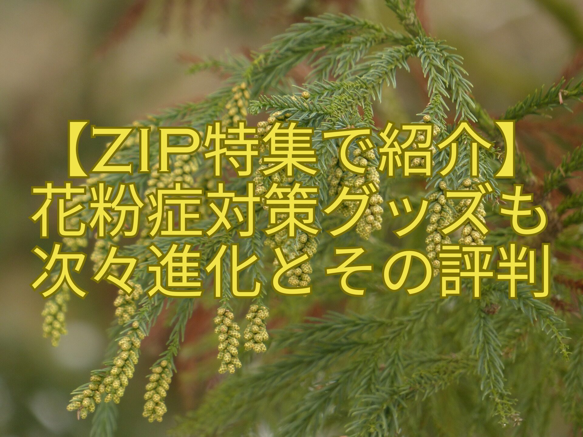 【ZIP特集で紹介】花粉症対策グッズも次々進化とその評判