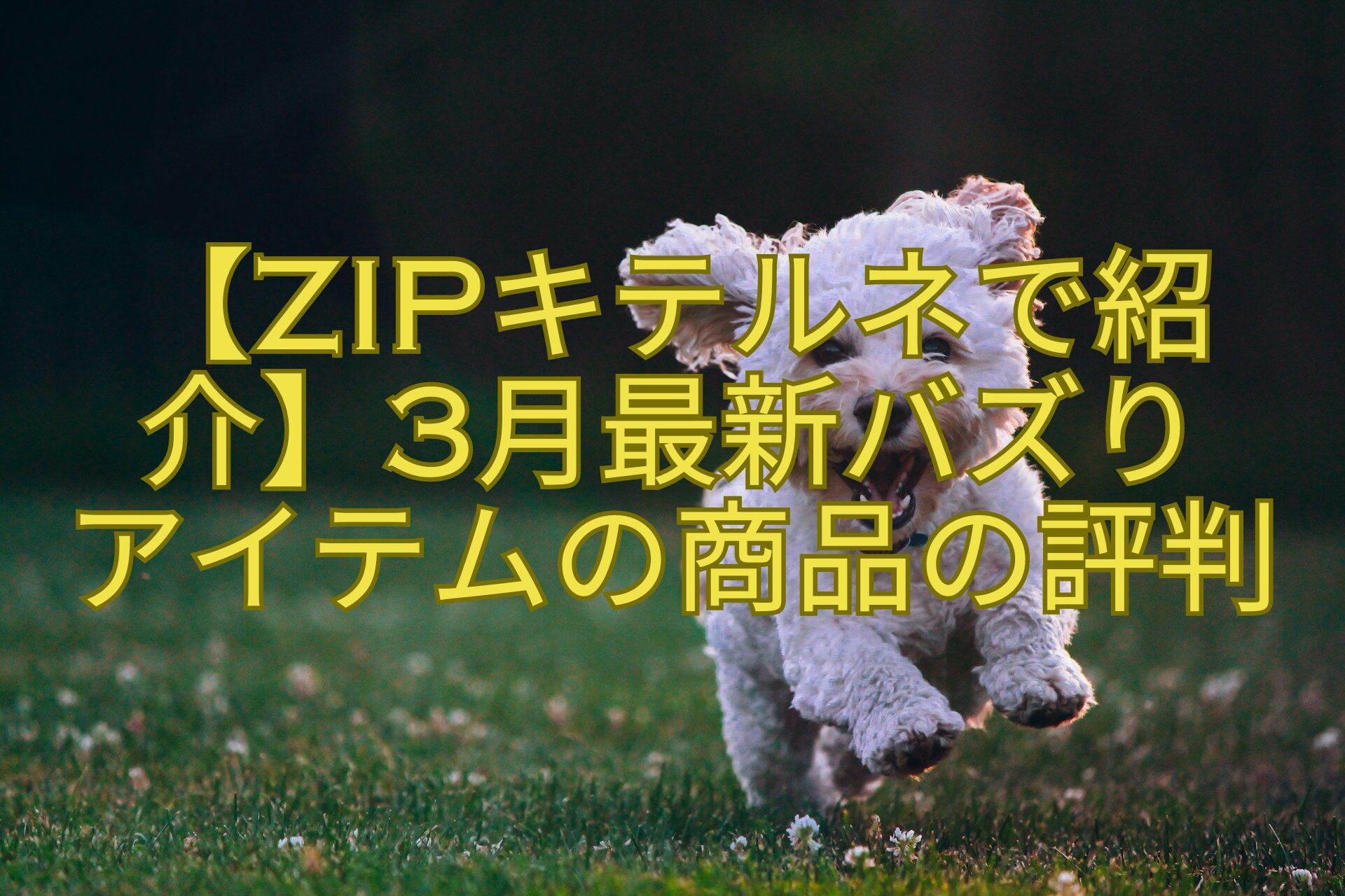 【ZIPキテルネで紹介】3月最新バズり-アイテムの商品の評判