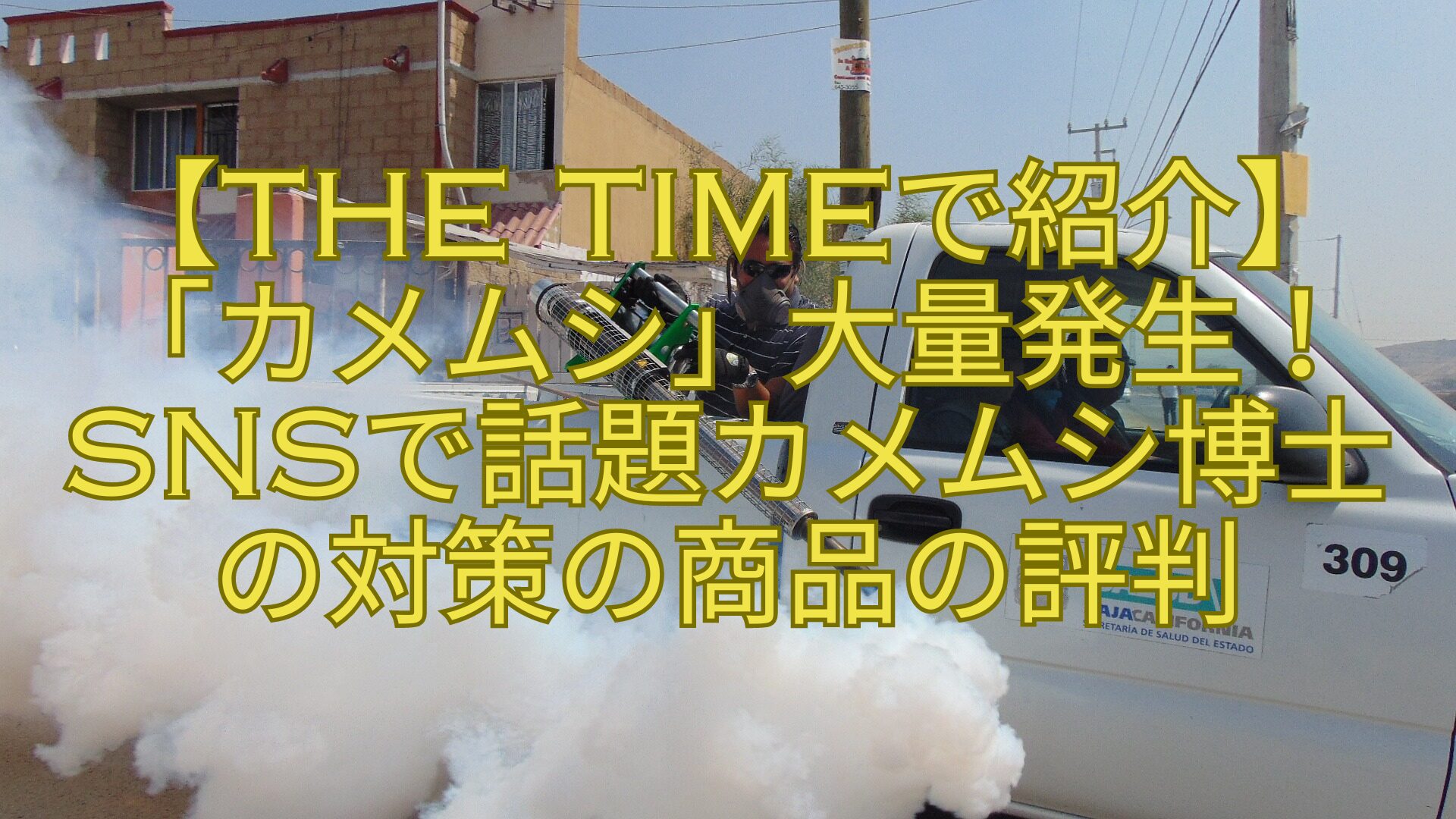 【THE-TIMEで紹介】「カメムシ」大量発生！SNSで話題カメムシ博士の対策の商品の評判