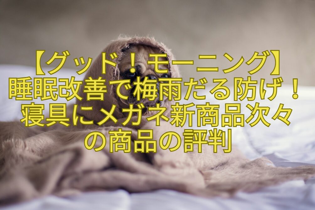 【グッド！モーニング】睡眠改善で梅雨だる防げ！寝具にメガネ新商品次々の商品の評判