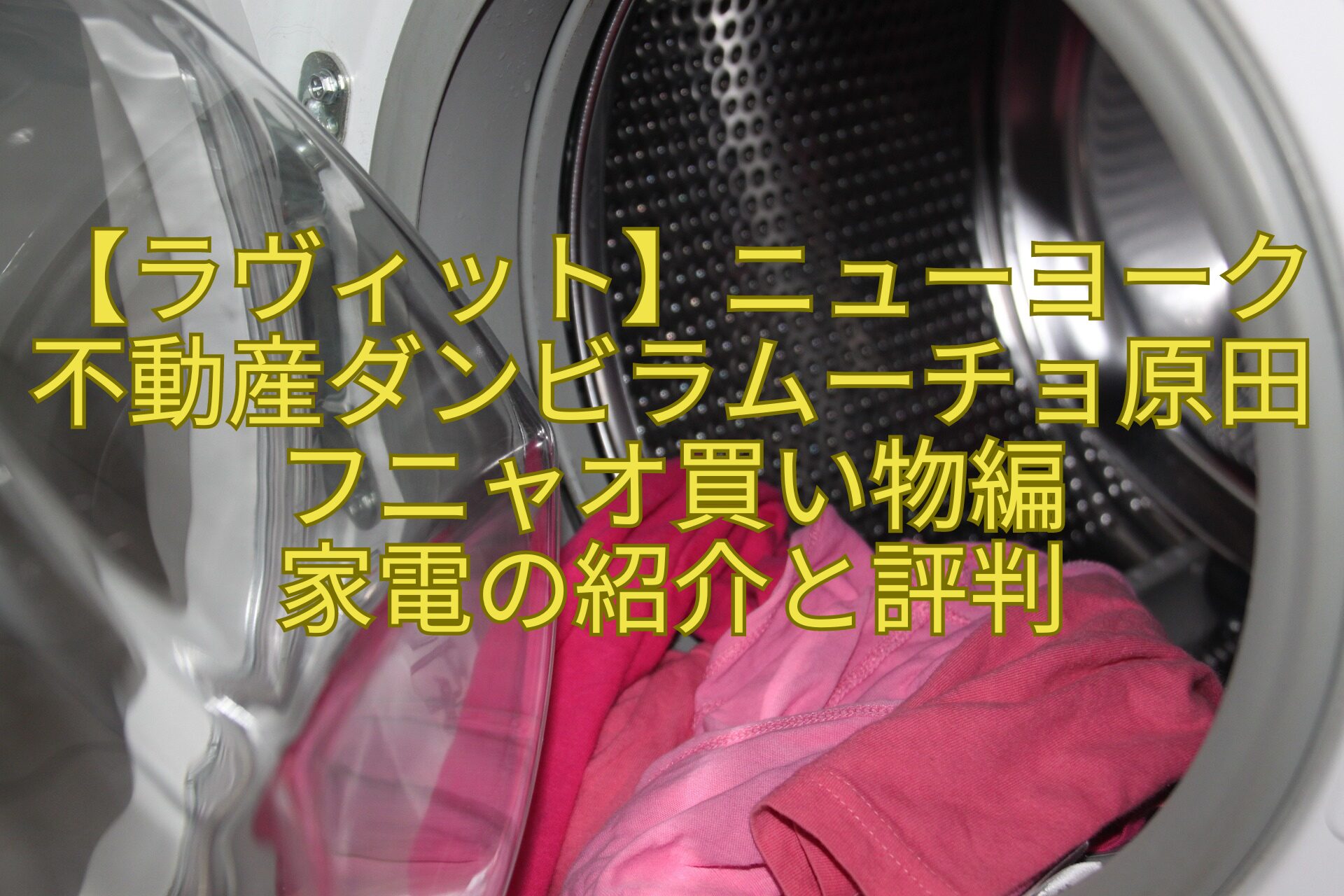 【ラヴィット】ニューヨーク不動産ダンビラムーチョ原田フニャオ買い物編-家電の紹介と評判