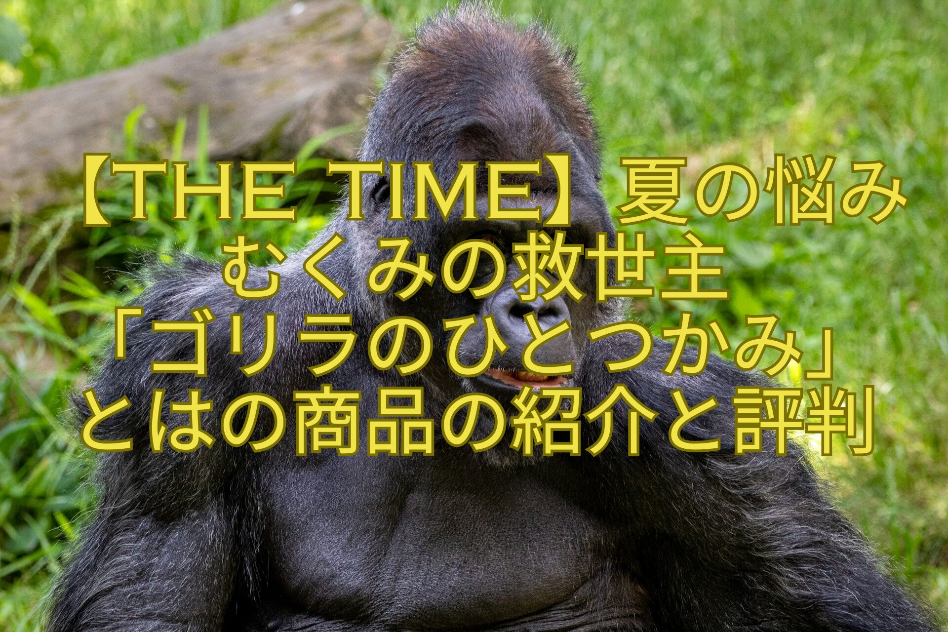 【THE-TIME】夏の悩みむくみの救世主-「ゴリラのひとつかみ」-とはの商品の紹介と評判