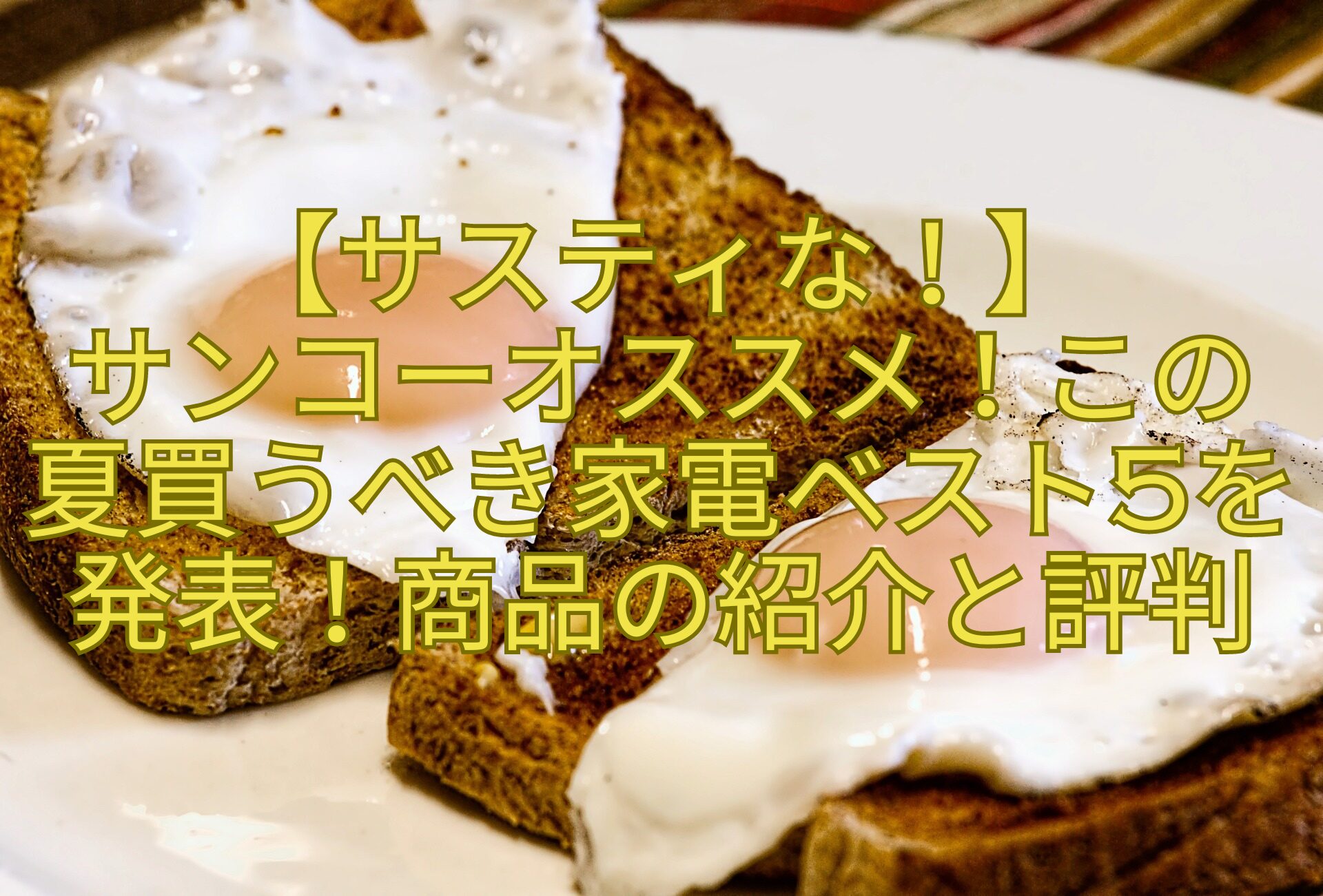 【サスティな！】-サンコーオススメ！この夏買うべき家電ベスト5を発表！商品の紹介と評判
