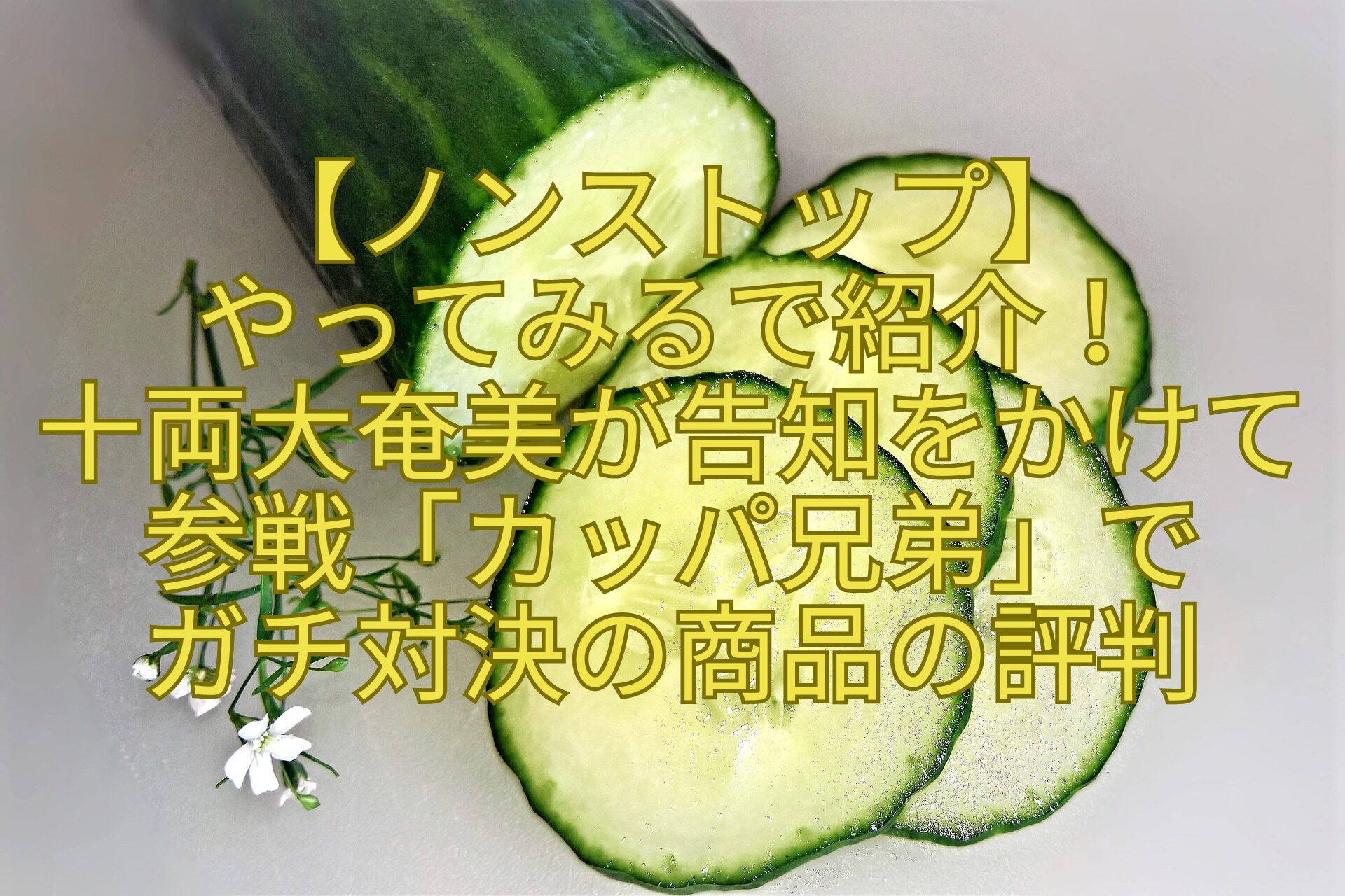 【ノンストップ】 やってみるで紹介！ 十両大奄美が告知をかけて 参戦「カッパ兄弟」で ガチ対決の商品の評判