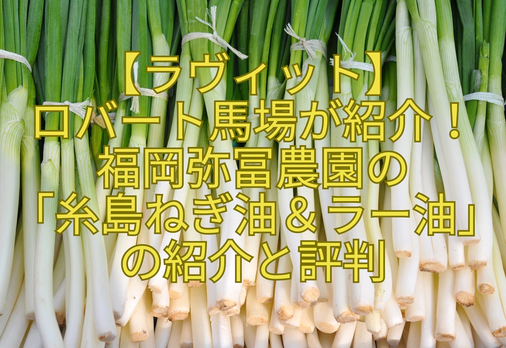 【ラヴィット】-ロバート馬場が紹介！-福岡弥冨農園の-「糸島ねぎ油＆ラー油」-の紹介と評判