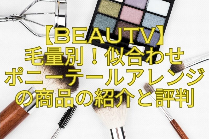 【BeauTV】毛量別！似合わせポニーテールアレンジの商品の紹介と評判