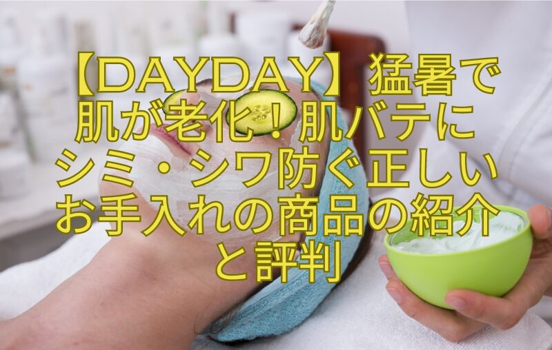 【DayDay】猛暑で肌が老化！肌バテに-シミ・シワ防ぐ正しいお手入れの商品の紹介と評判