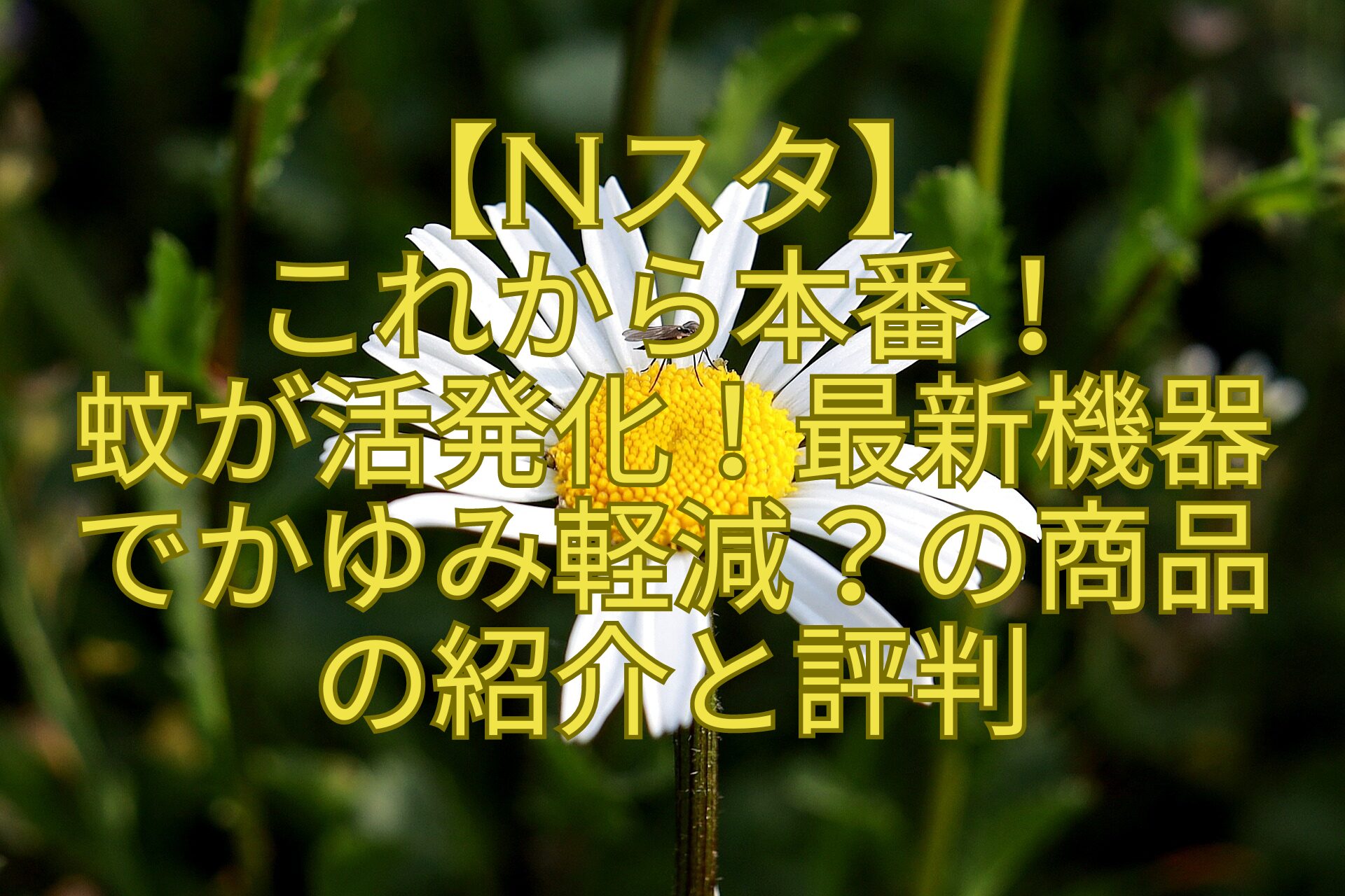 【Nスタ】-これから本番！-蚊が活発化！最新機器-でかゆみ軽減？の商品-の紹介と評判