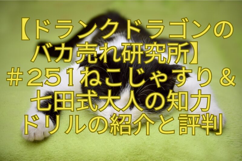 【ドランクドラゴンのバカ売れ研究所】＃251ねこじゃすり＆七田式大人の知力ドリルの紹介と評判