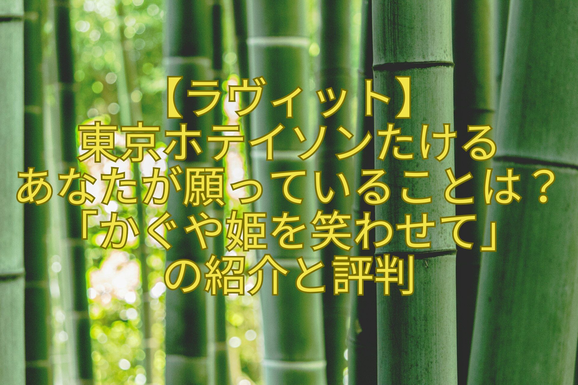 【ラヴィット】-東京ホテイソンたける-あなたが願っていることは？「かぐや姫を笑わせて」-の紹介と評判