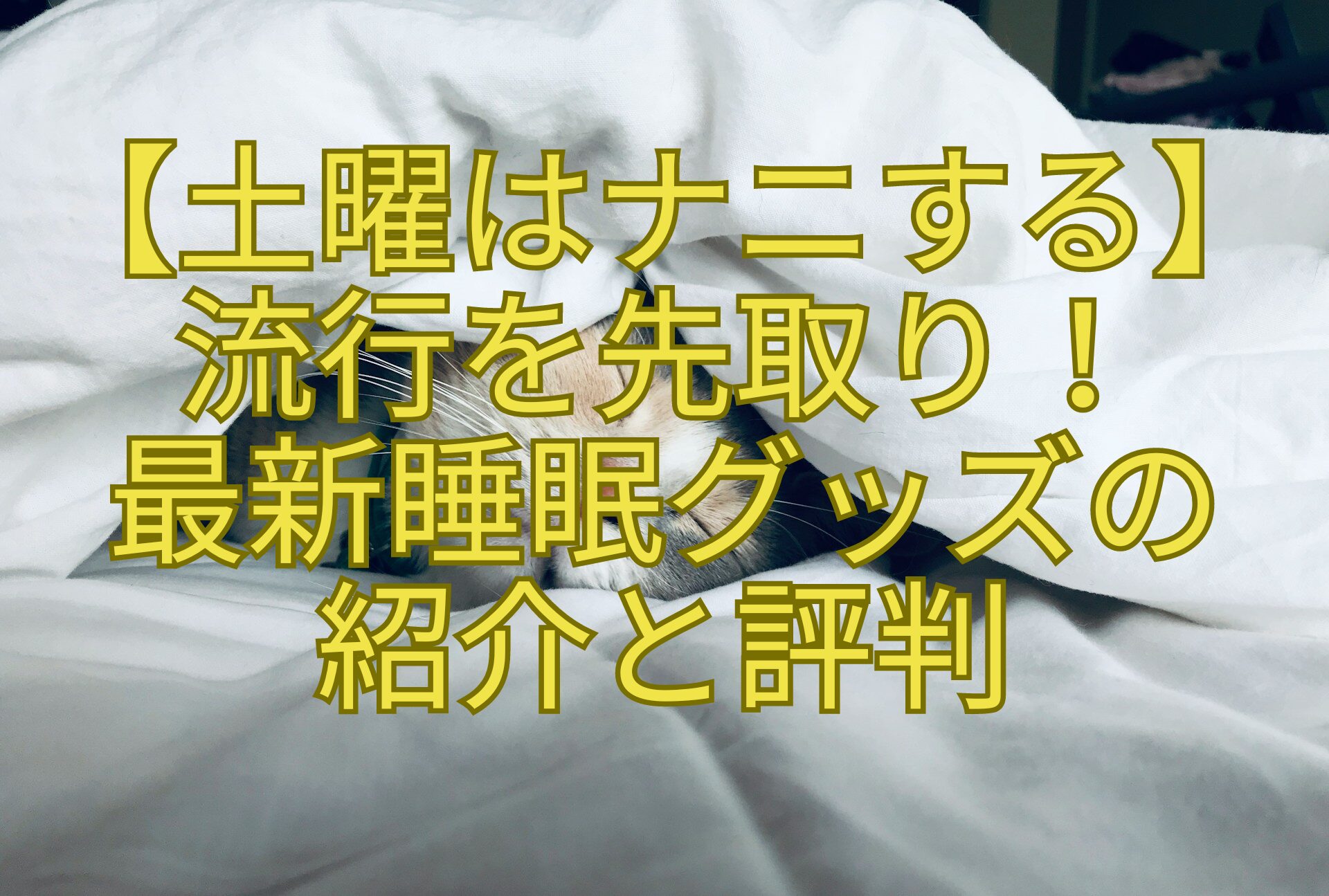 【土曜はナニする】-流行を先取り！-最新睡眠グッズの紹介-と評判