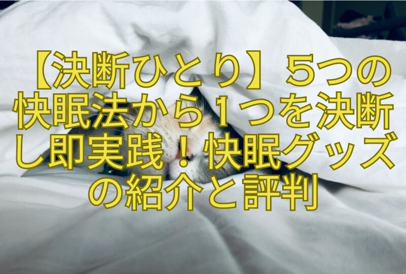 【決断ひとり】5つの快眠法から1つを決断し即実践！快眠グッズの紹介と評判