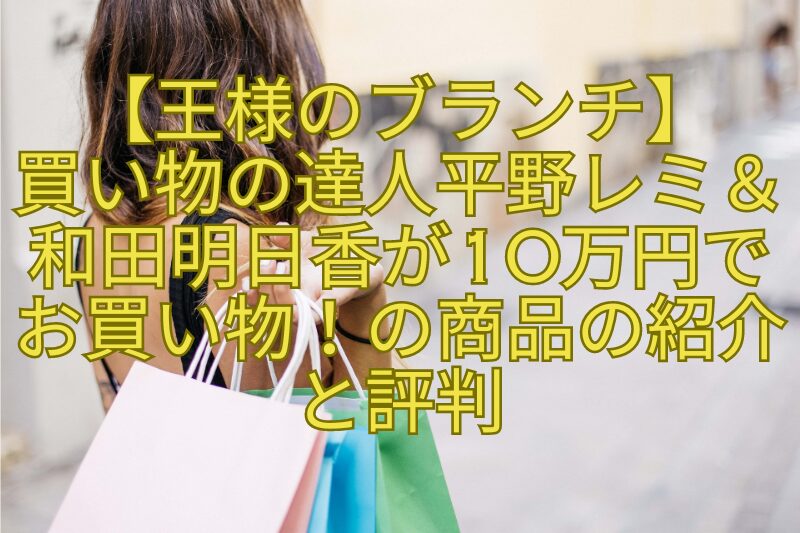 【王様のブランチ】買い物の達人平野レミ＆和田明日香が10万円でお買い物！の商品の紹介と評判