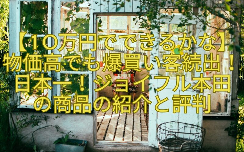 【10万円でできるかな】物価高でも爆買い客続出！日本一！ジョイフル本田-の商品の紹介と評判