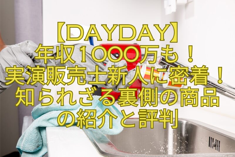 【DayDay】-年収1000万も！-実演販売士新人に密着！-知られざる裏側の商品-の紹介と評判