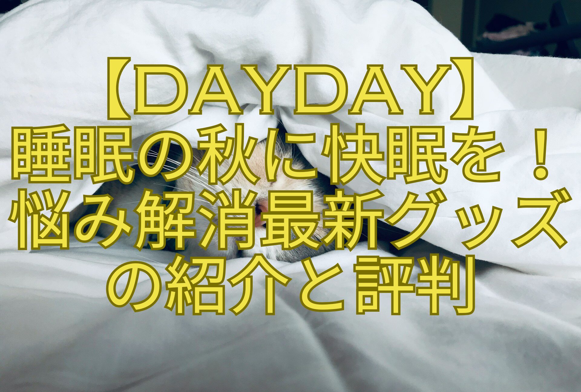 【DayDay】-睡眠の秋に快眠を！悩み解消最新グッズの紹介と評判