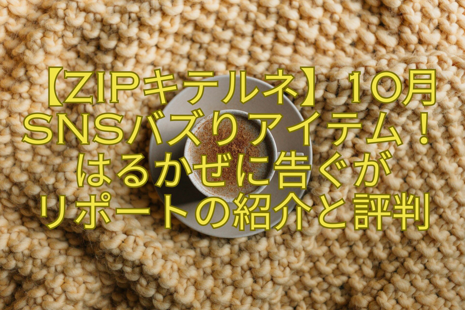 【ZIPキテルネ】10月SNSバズりアイテム！はるかぜに告ぐが-リポートの紹介と評判