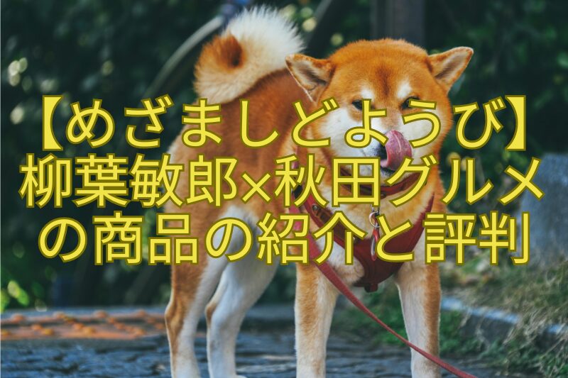 【めざましどようび】柳葉敏郎×秋田グルメの商品の紹介と評判