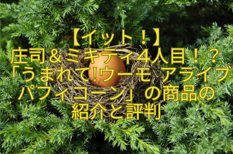 【イット！】-庄司＆ミキティ4人目！？-「うまれてウーモ-アライブ-パフィコーン」の商品の-紹介と評判