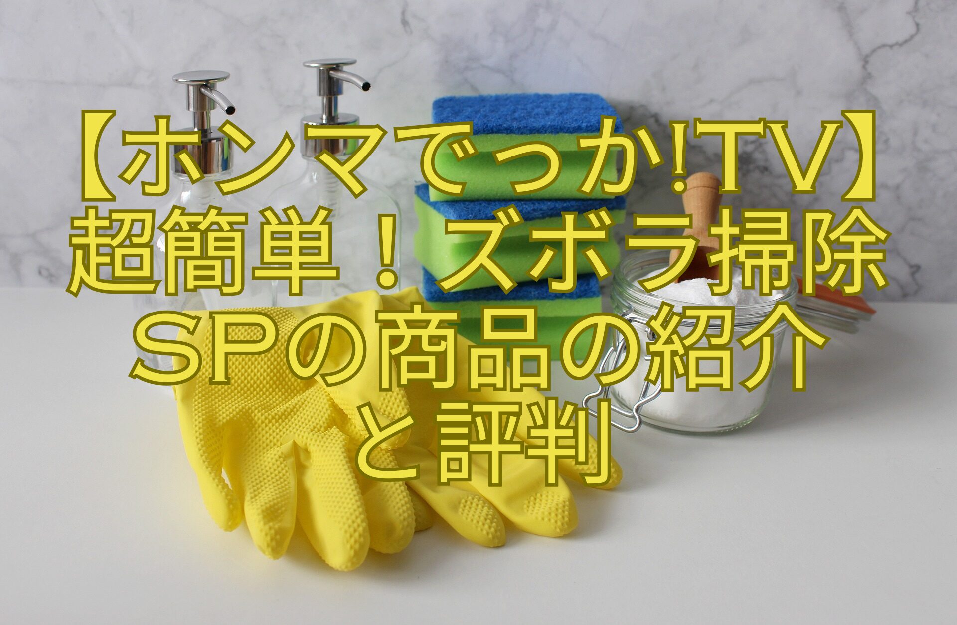 【ホンマでっかTV】超簡単！ズボラ掃除SPの商品の紹介-と評判