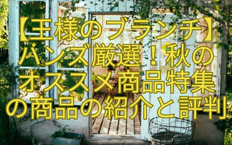 【王様のブランチ】-ハンズ厳選！秋の-オススメ商品特集-の商品の紹介と評判