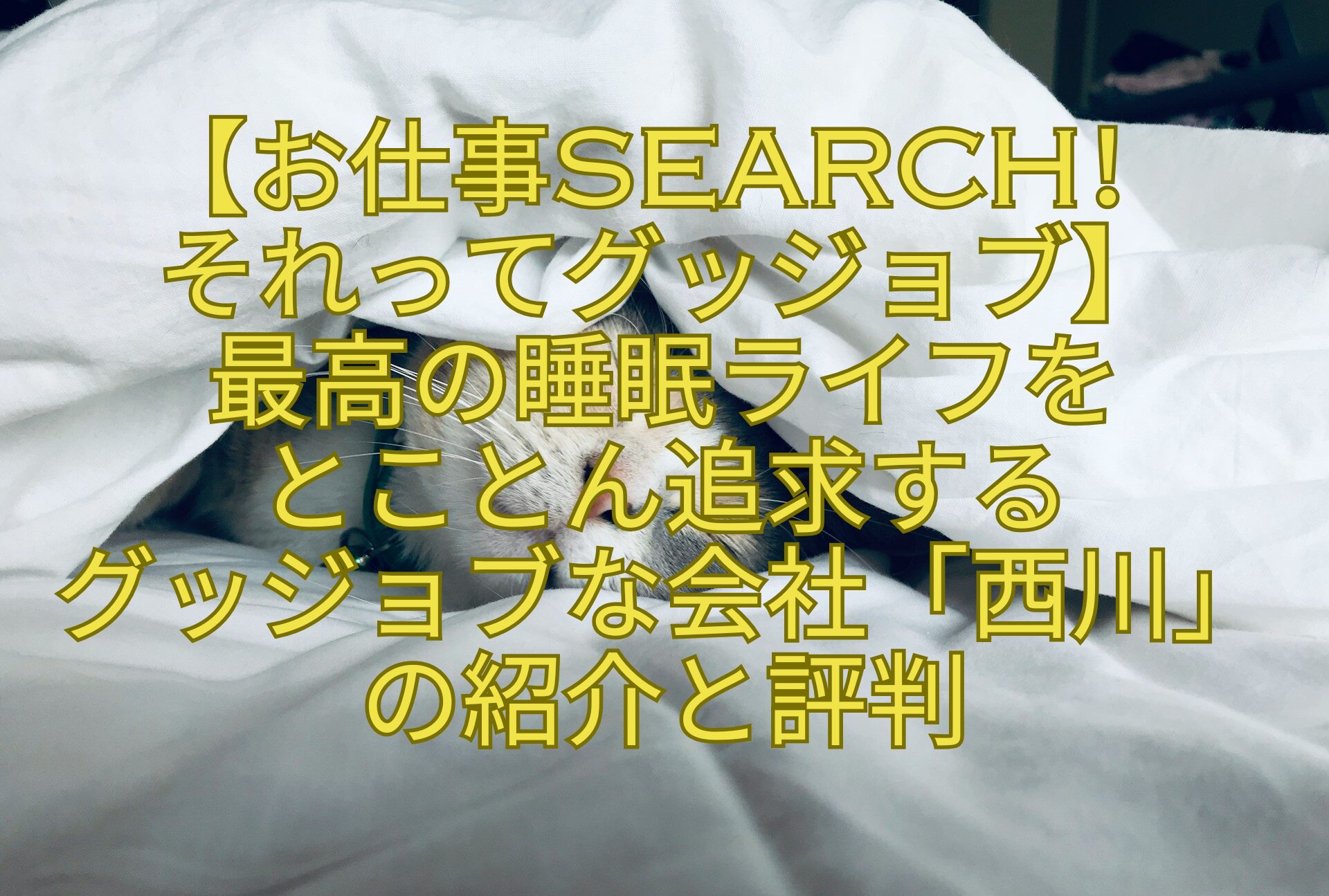 【お仕事search！それってグッジョブ】最高の睡眠ライフをとことん追求するグッジョブな会社「西川」の紹介と評判