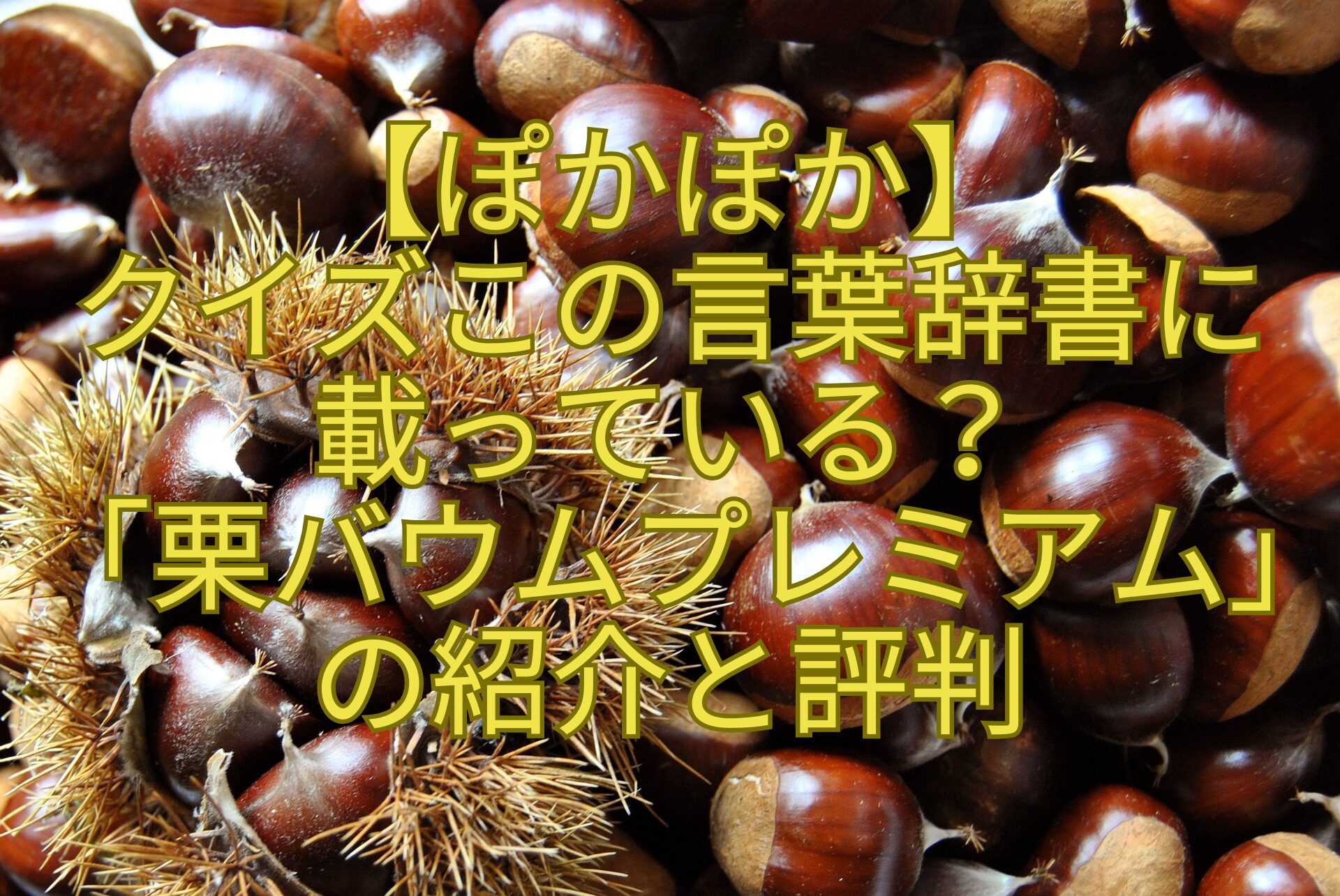 【ぽかぽか】-クイズこの言葉辞書に-載っている？-「栗バウムプレミアム」-の紹介と評判