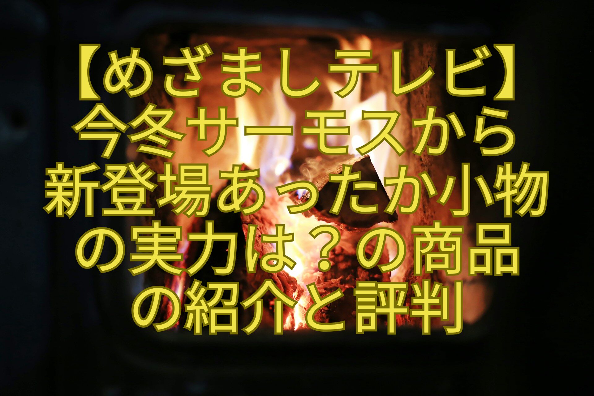 【めざましテレビ】今冬サーモスから新登場あったか小物の実力は？の商品の紹介と評判