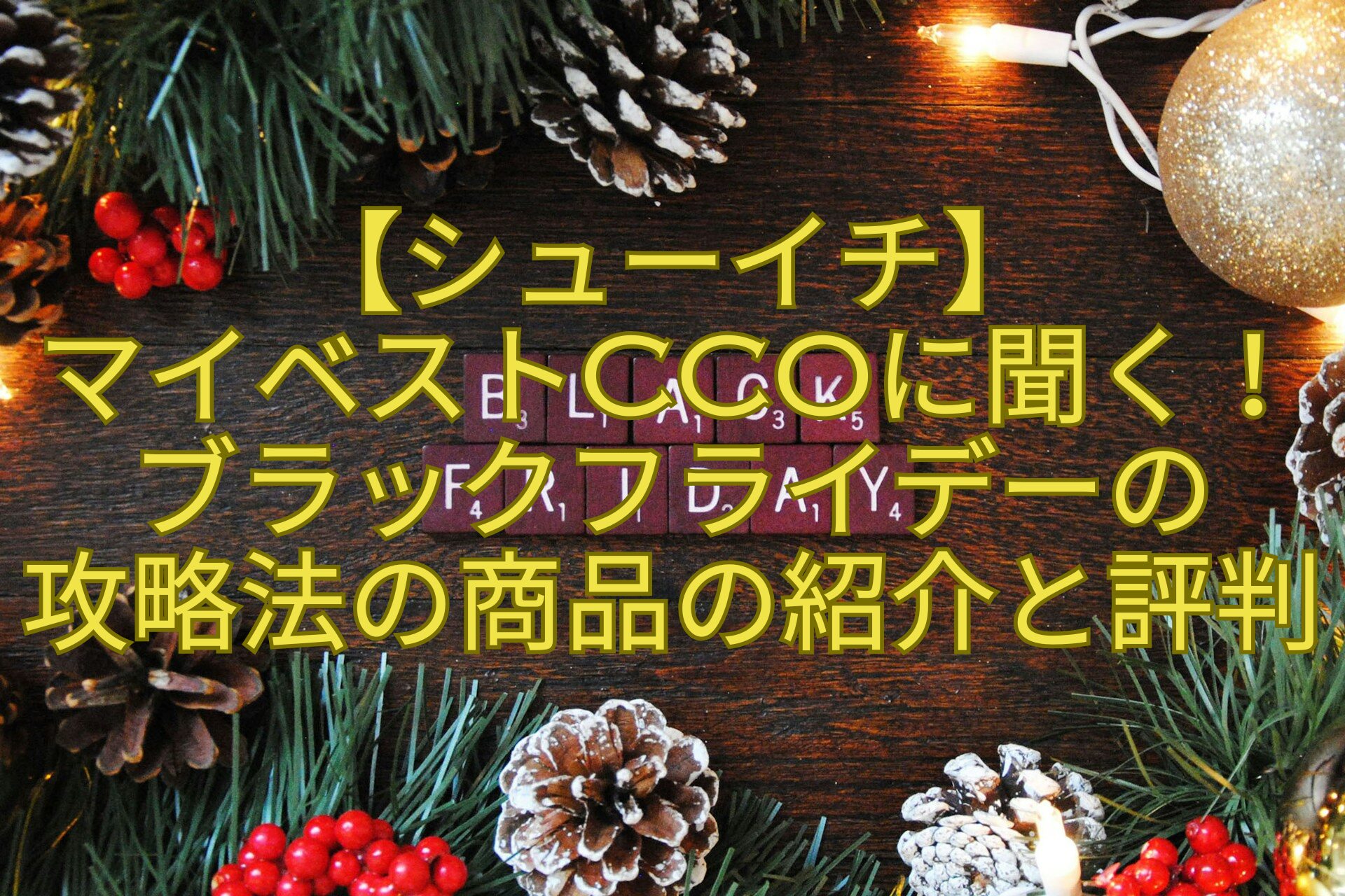 【シューイチ】-マイベストCCOに聞く！ブラックフライデーの-攻略法の商品の紹介と評判