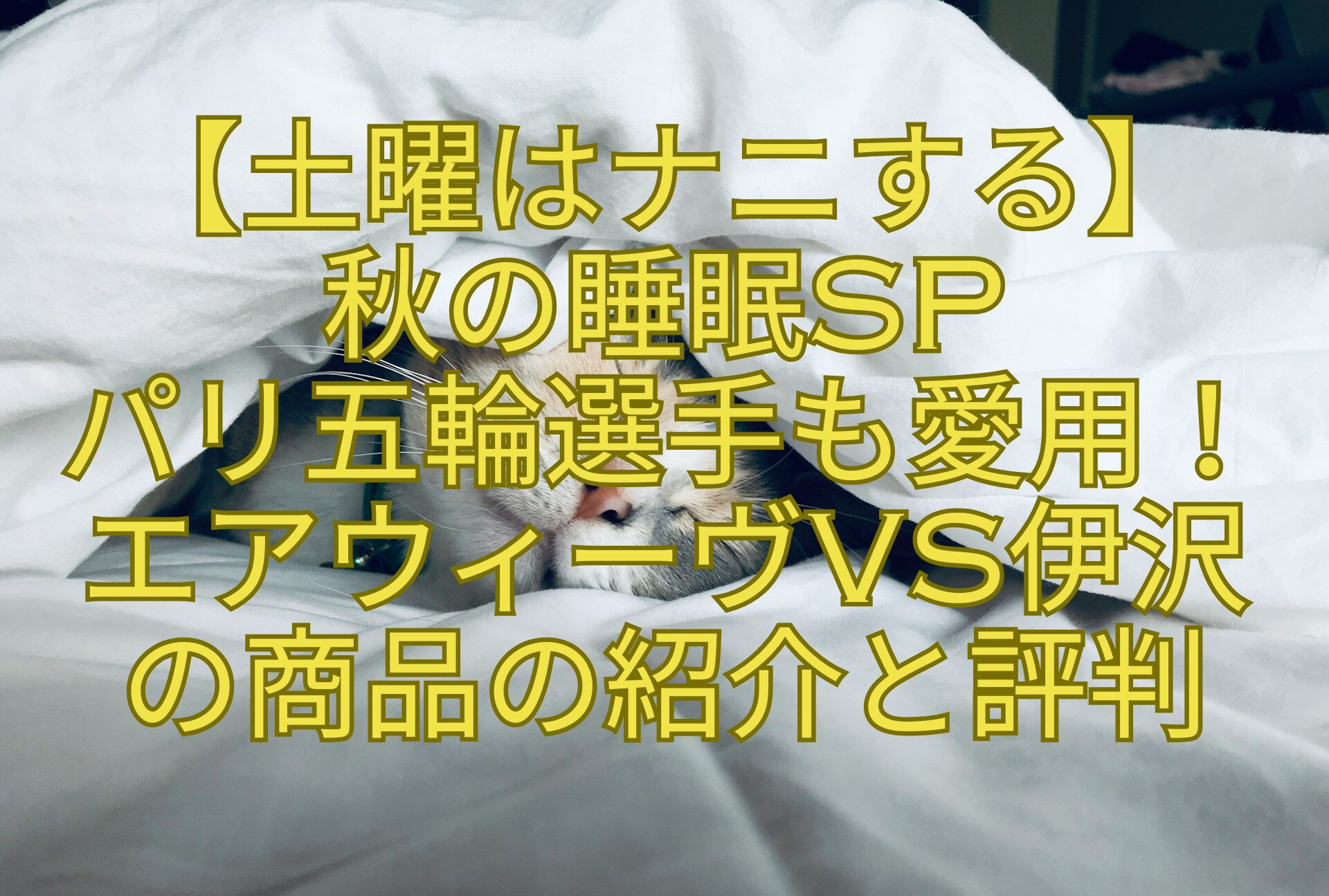 【土曜はナニする】秋の睡眠SPパリ五輪選手も愛用！エアウィーヴvs伊沢の商品の紹介と評判