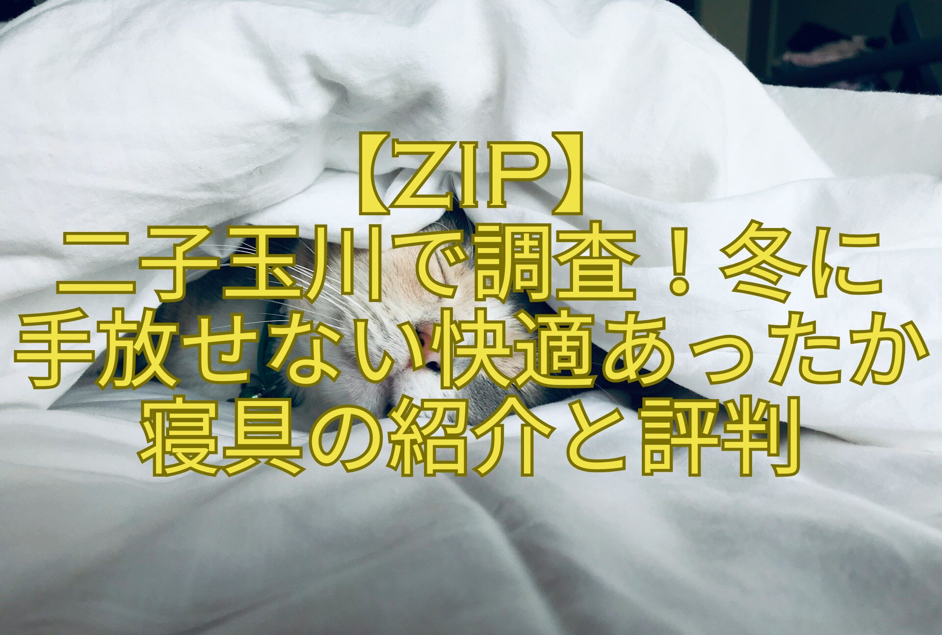 【ZIP】二子玉川で調査！冬に手放せない快適あったか寝具の紹介と評判