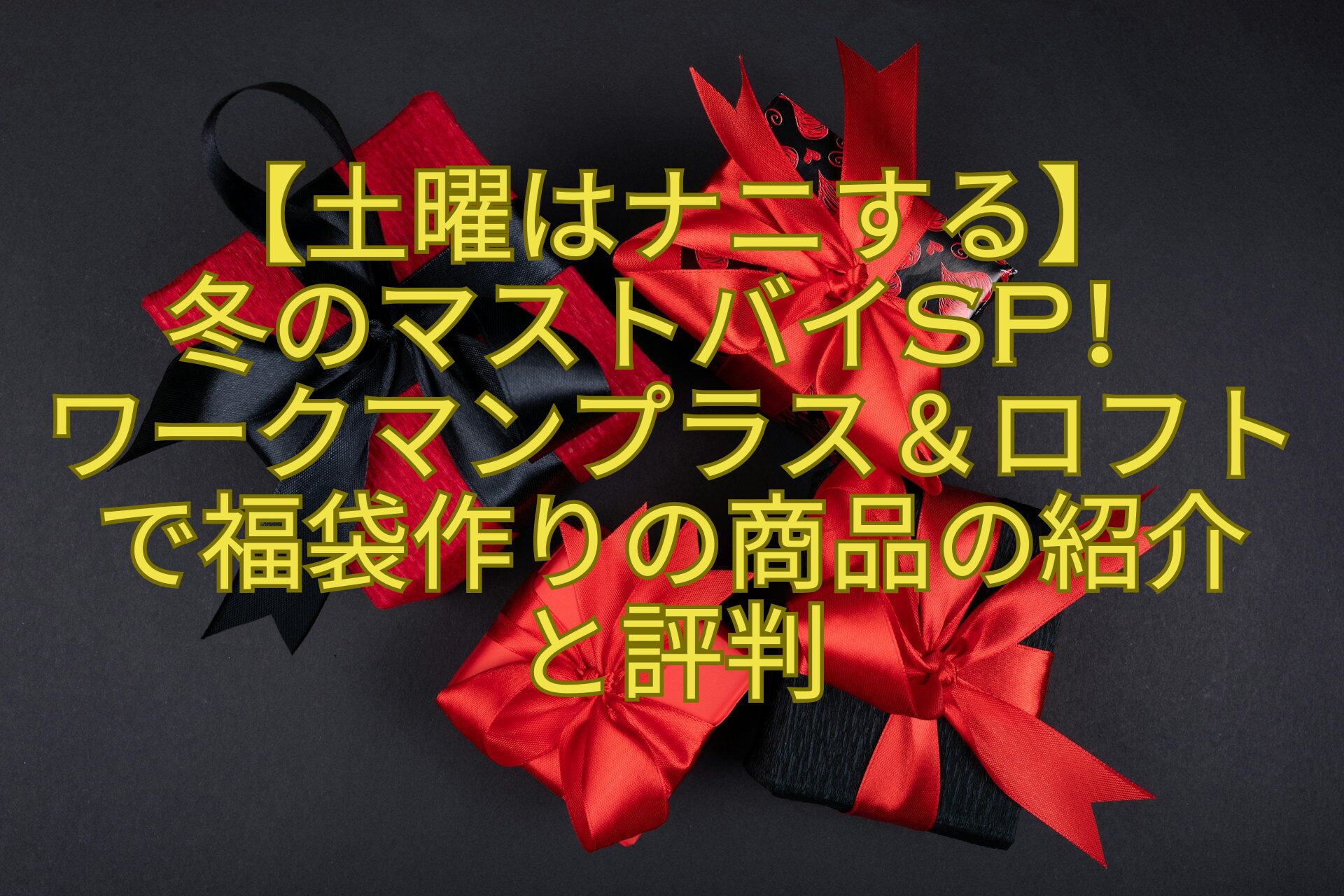 【土曜はナニする】-冬のマストバイSP！-ワークマンプラス＆ロフトで福袋作りの商品の紹介-と評判