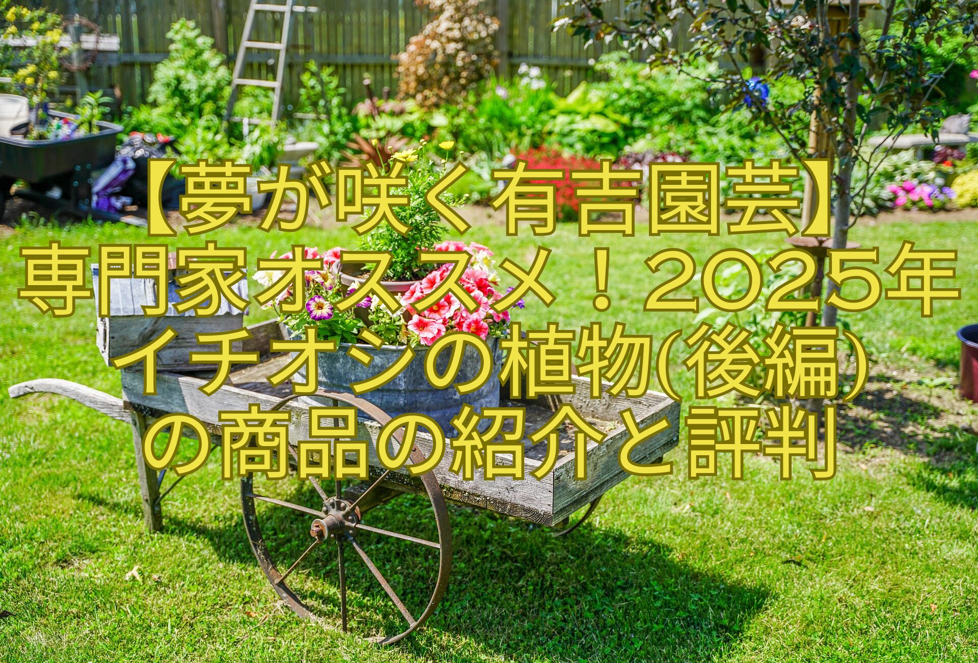 【夢が咲く有吉園芸】専門家オススメ！2025年イチオシの植物後編の商品の紹介と評判