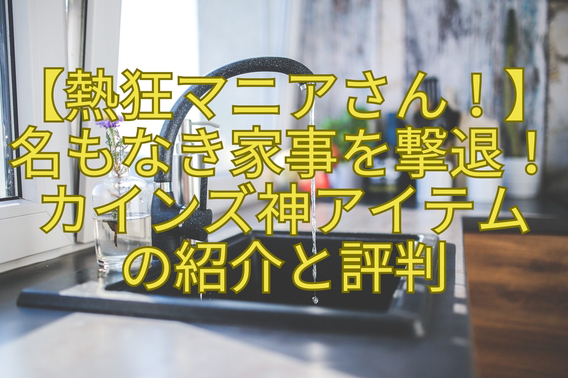 【熱狂マニアさん！】名もなき家事を撃退！カインズ神アイテムの紹介と評判