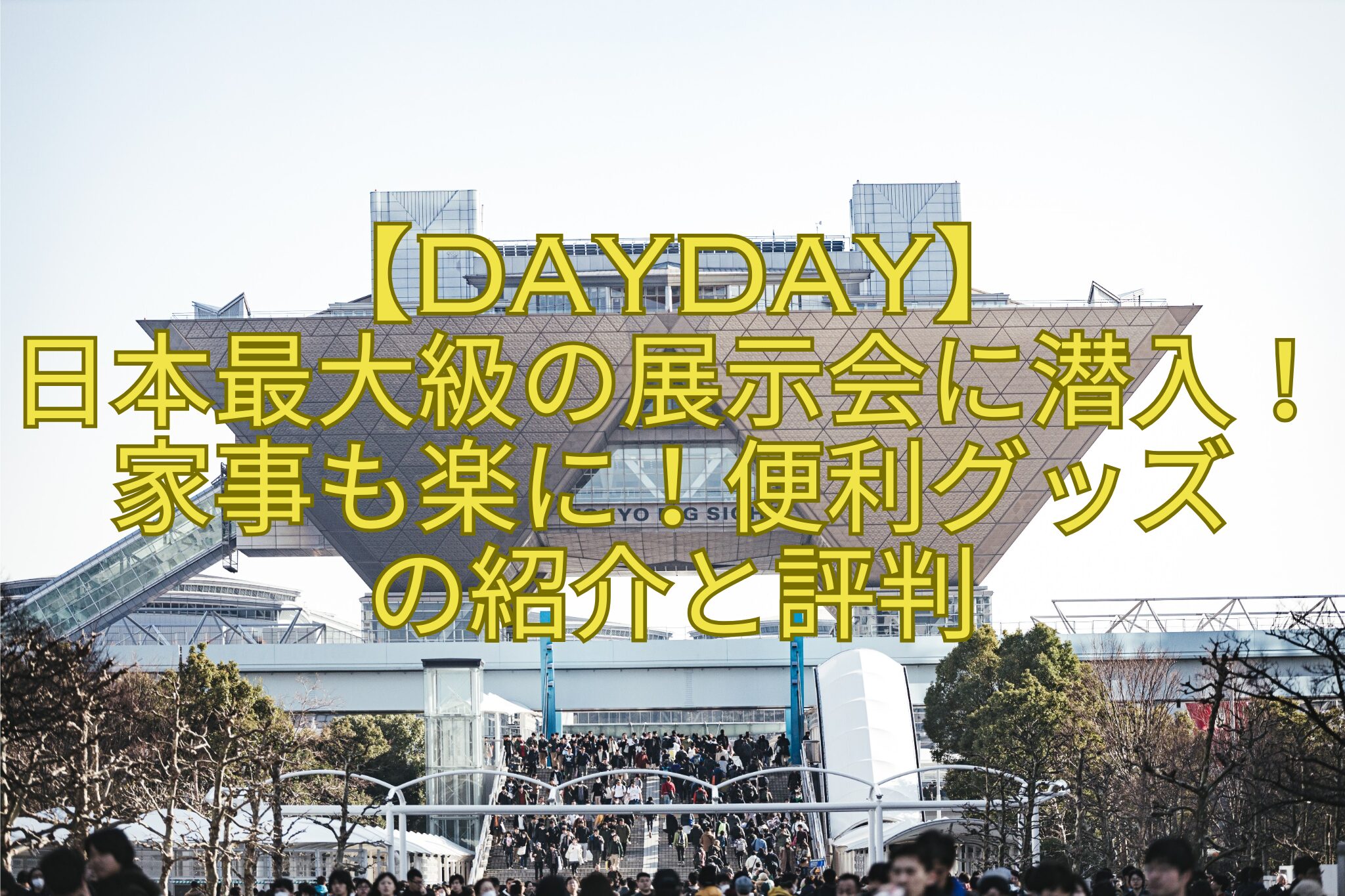 【DayDay】-日本最大級の展示会に潜入！家事も楽に！便利グッズ-の紹介と評判