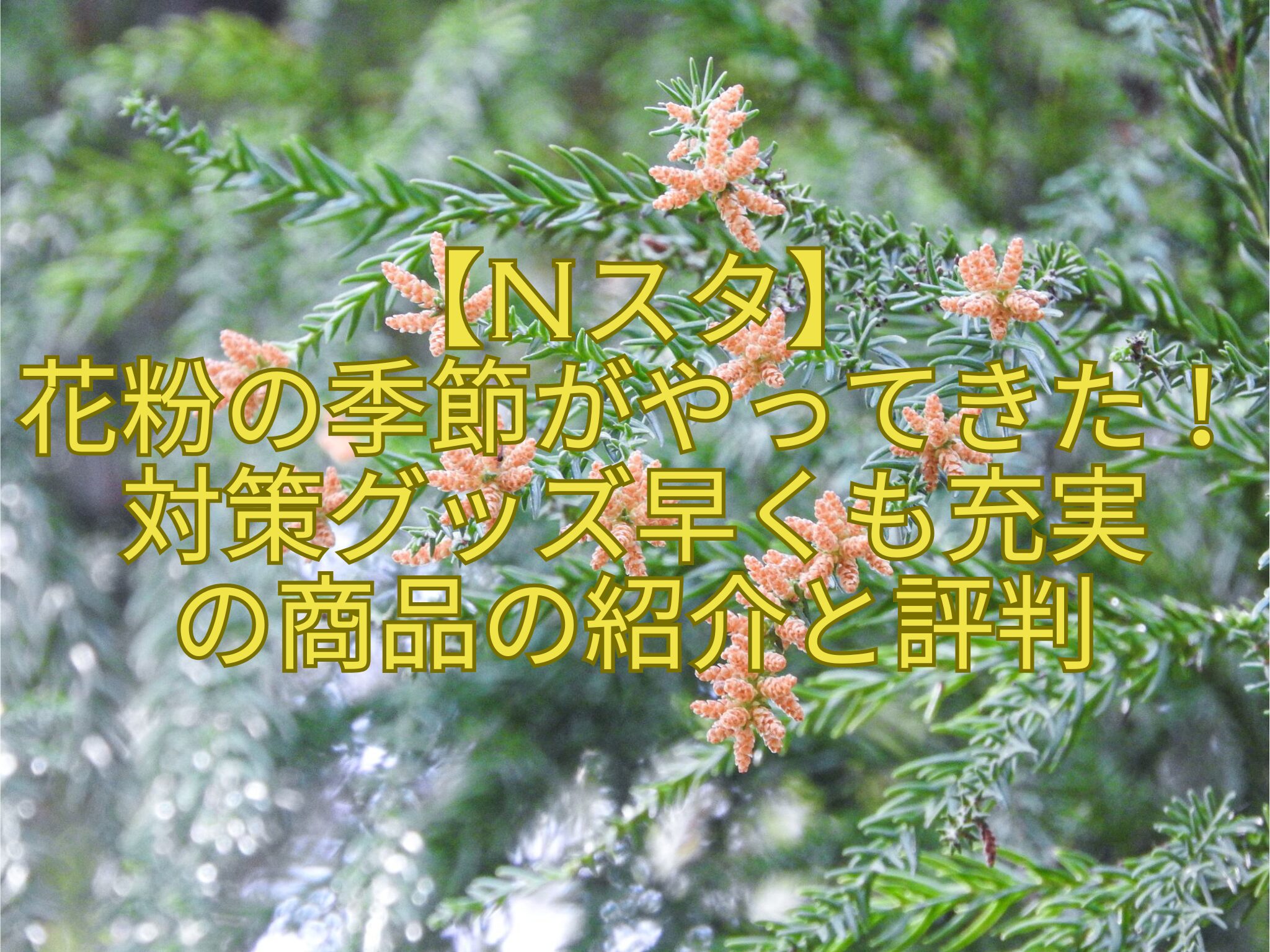 【Nスタ】花粉の季節がやってきた！対策グッズ早くも充実の商品の紹介と評判