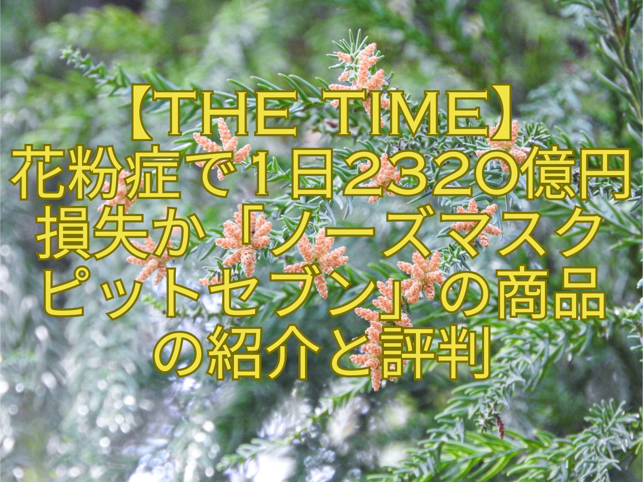 【THE-TIME】花粉症で1日2320億円損失か「ノーズマスクピットセブン」の商品の紹介と評判