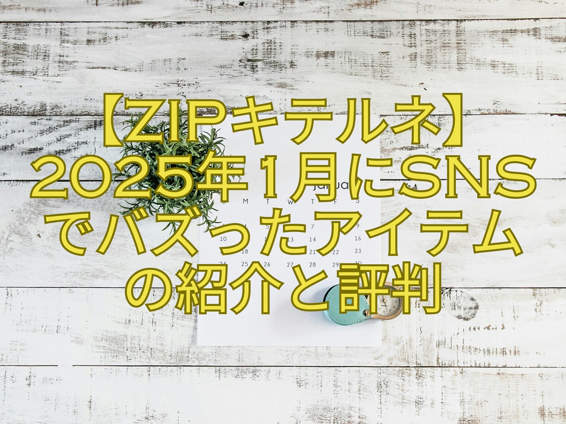 【ZIPキテルネ】-2025年1月にSNS-でバズったアイテム-の紹介と評判