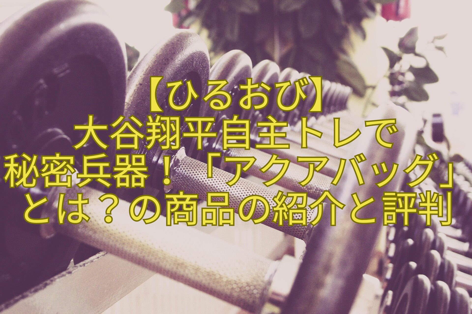 【ひるおび】大谷翔平自主トレで秘密兵器！「アクアバッグ」とは？の商品の紹介と評判