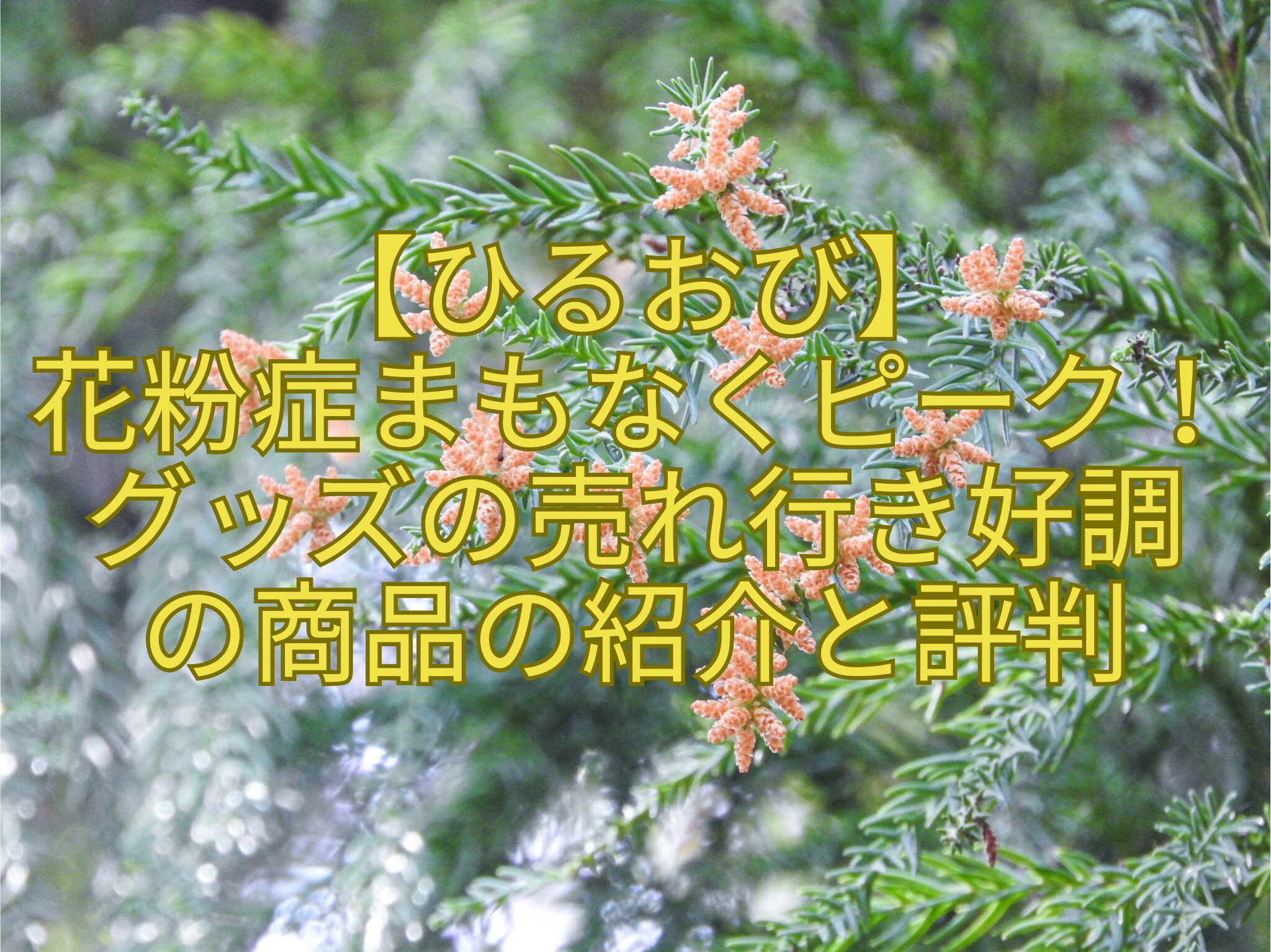 【ひるおび】花粉症まもなくピーク！グッズの売れ行き好調の商品の紹介と評判