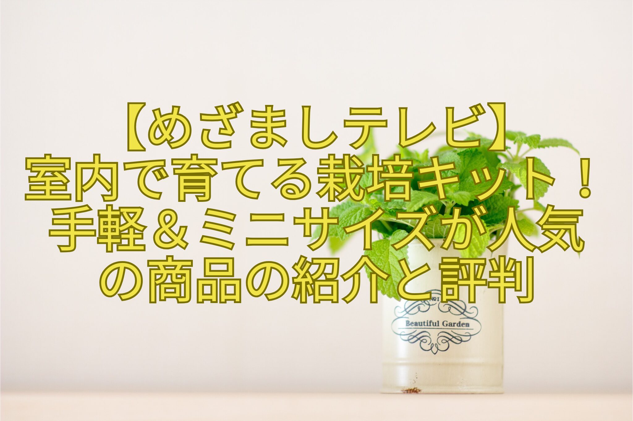 【めざましテレビ】-室内で育てる栽培キット！-手軽＆ミニサイズが人気-の商品の紹介と評判