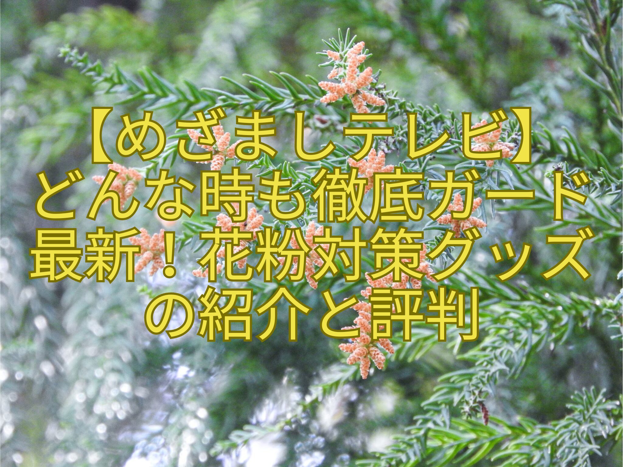 【めざましテレビ】どんな時も徹底ガード最新！花粉対策グッズの紹介と評判