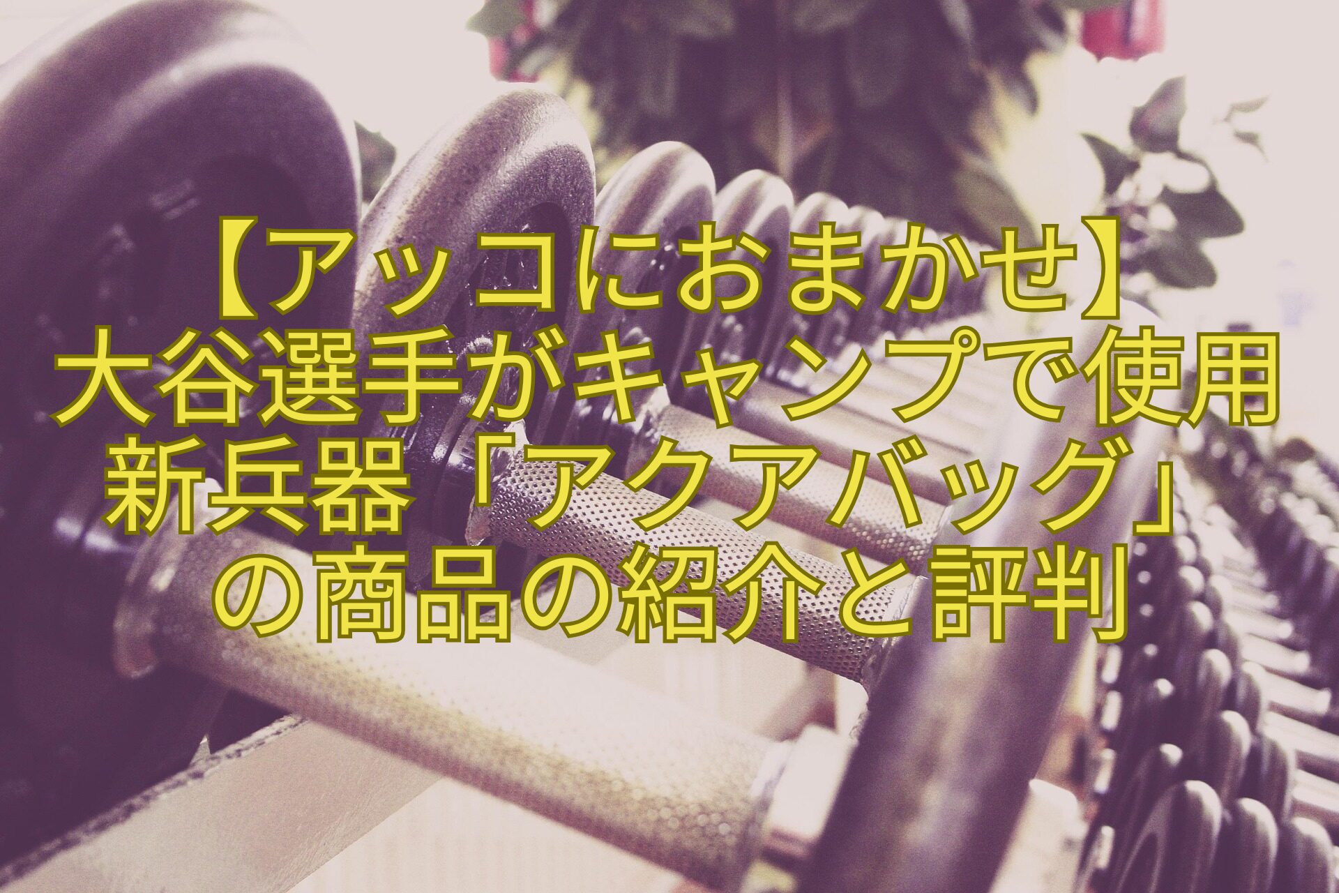 【アッコにおまかせ】大谷選手がキャンプで使用新兵器「アクアバッグ」の商品の紹介と評判