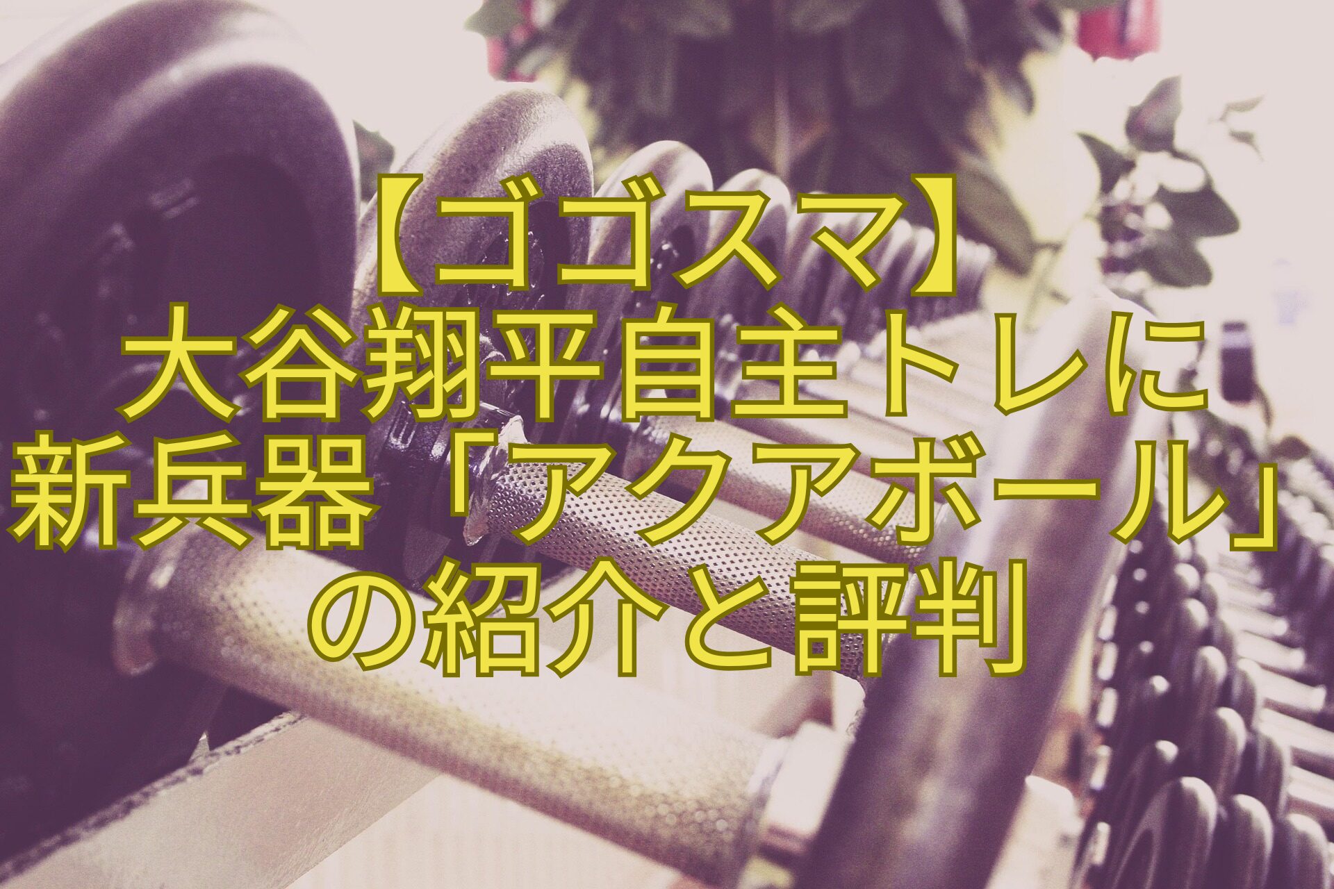 【ゴゴスマ】-大谷翔平自主トレに-新兵器「アクアボール」-の紹介と評判