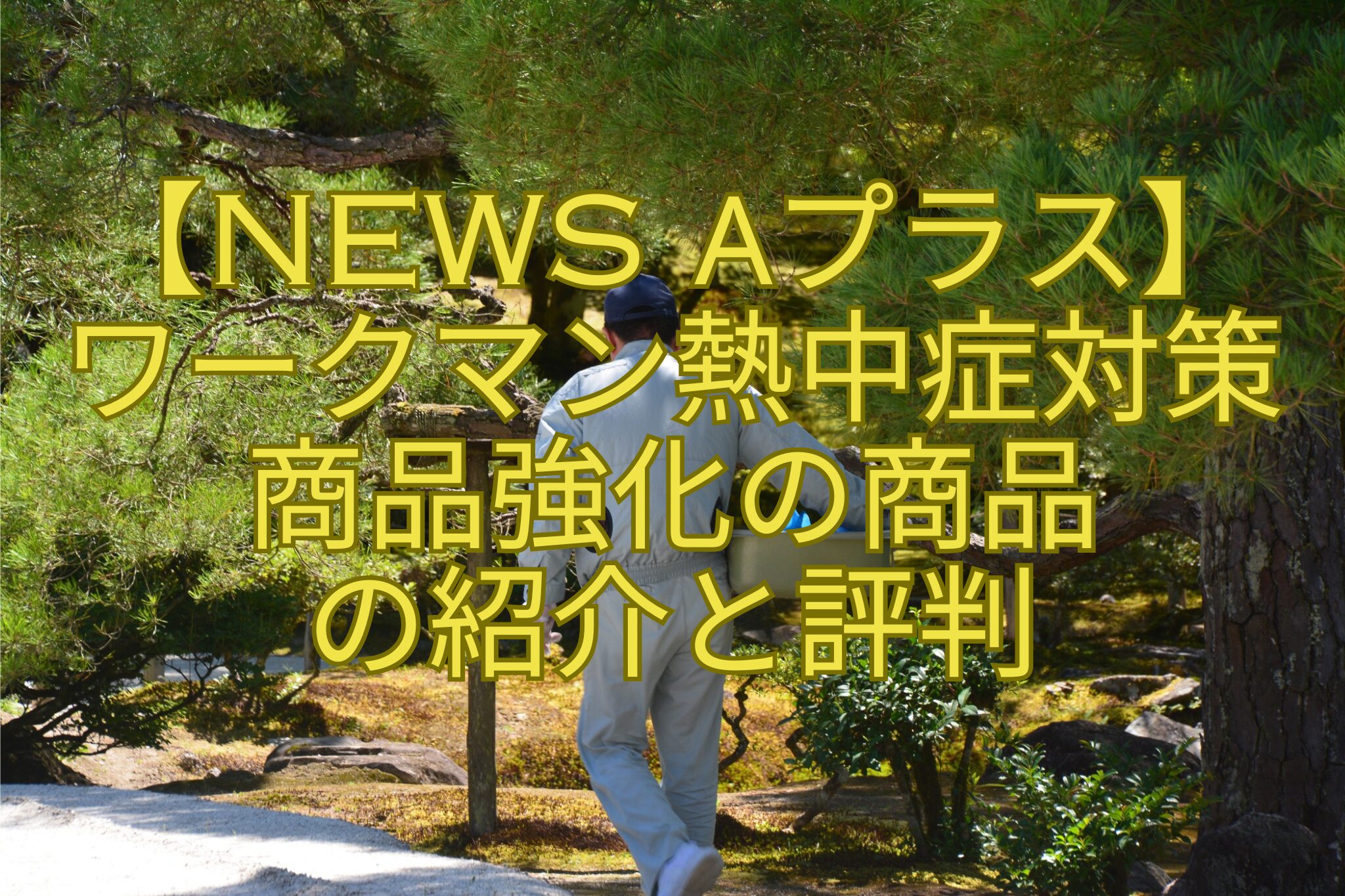 【News-αプラス】-ワークマン熱中症対策-商品強化の商品-の紹介と評判