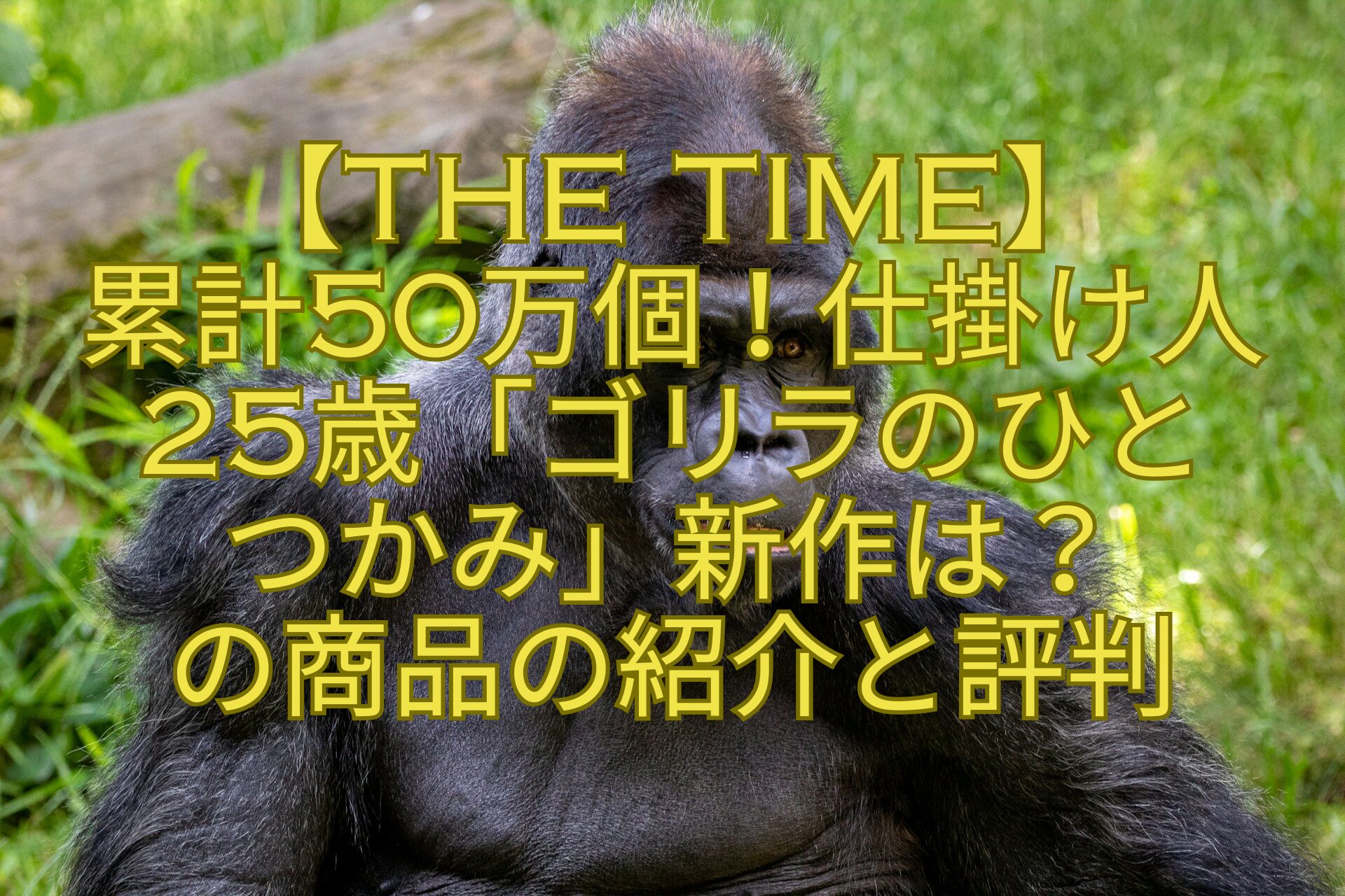 【THE-TIME】-累計50万個！仕掛け人-25歳「ゴリラのひと-つかみ」新作は？-の商品の紹介と評判