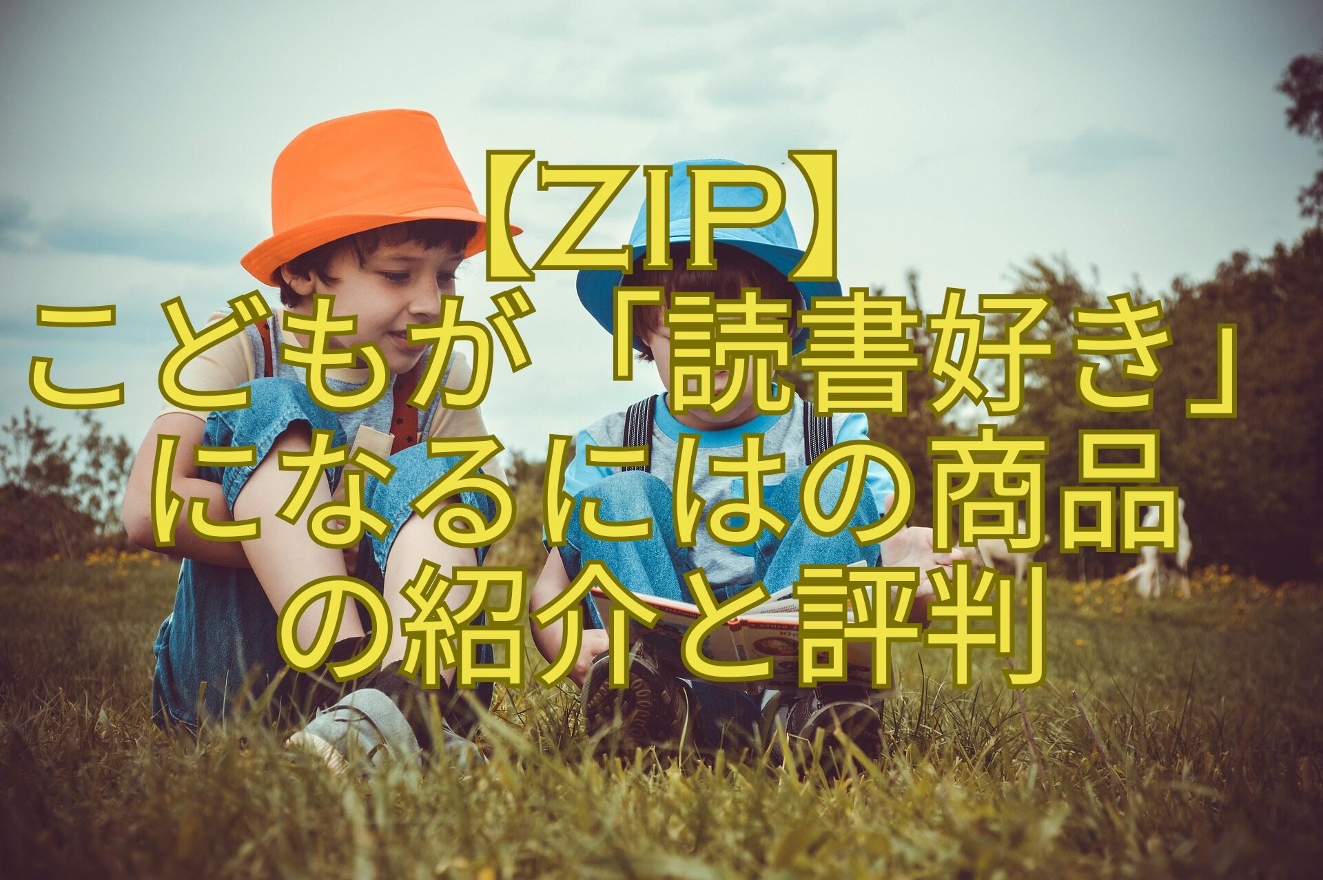 【ZIP】-こどもが「読書好き」-になるにはの商品-の紹介と評判