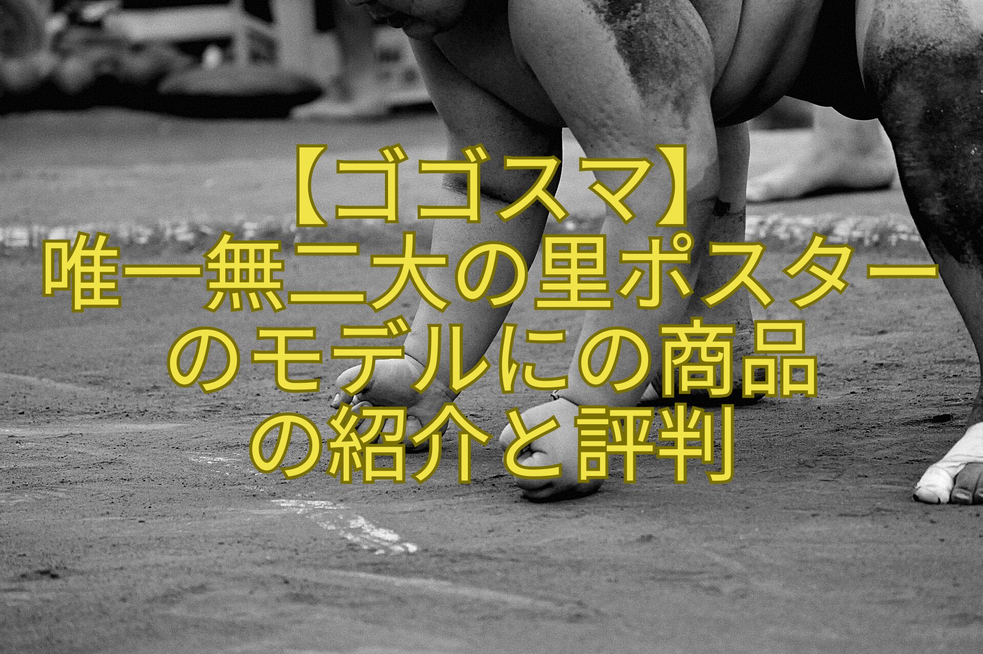 【ゴゴスマ】-唯一無二大の里ポスターのモデルにの商品-の紹介と評判