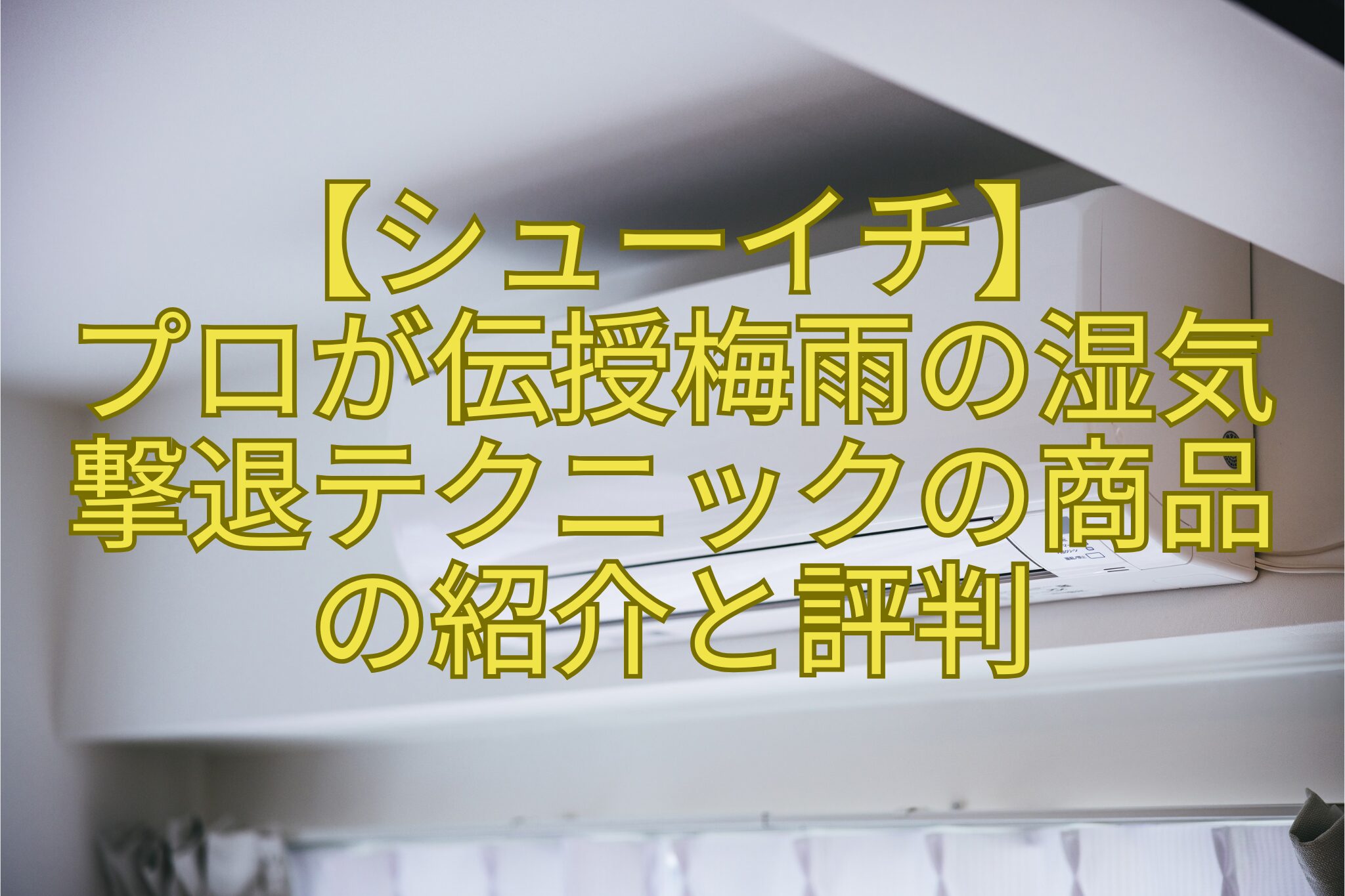【シューイチ】-プロが伝授梅雨の湿気-撃退テクニックの商品-の紹介と評判